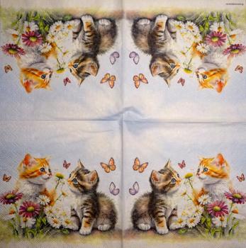 KAT-376 Cats - 3-ply - Ambiente
